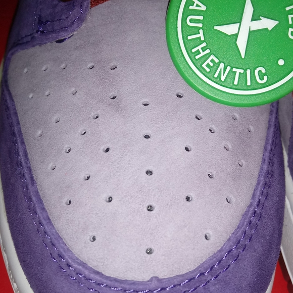 Nike SB Plums - Picture 2 of 6